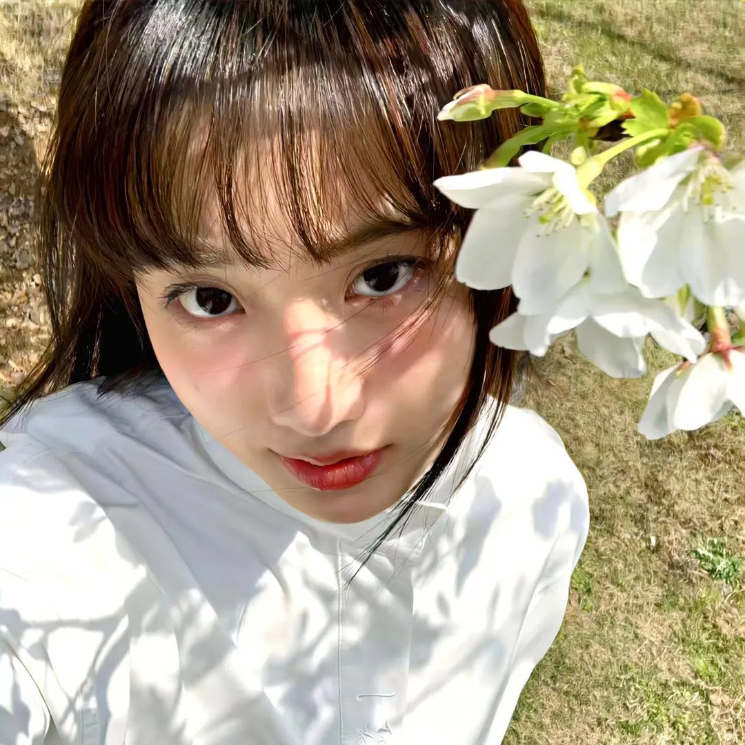 蜡笔小新第八季